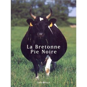 bretonne_pie_noire.jpg