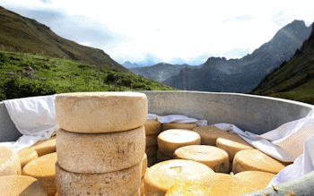 fromages_du_64.gif